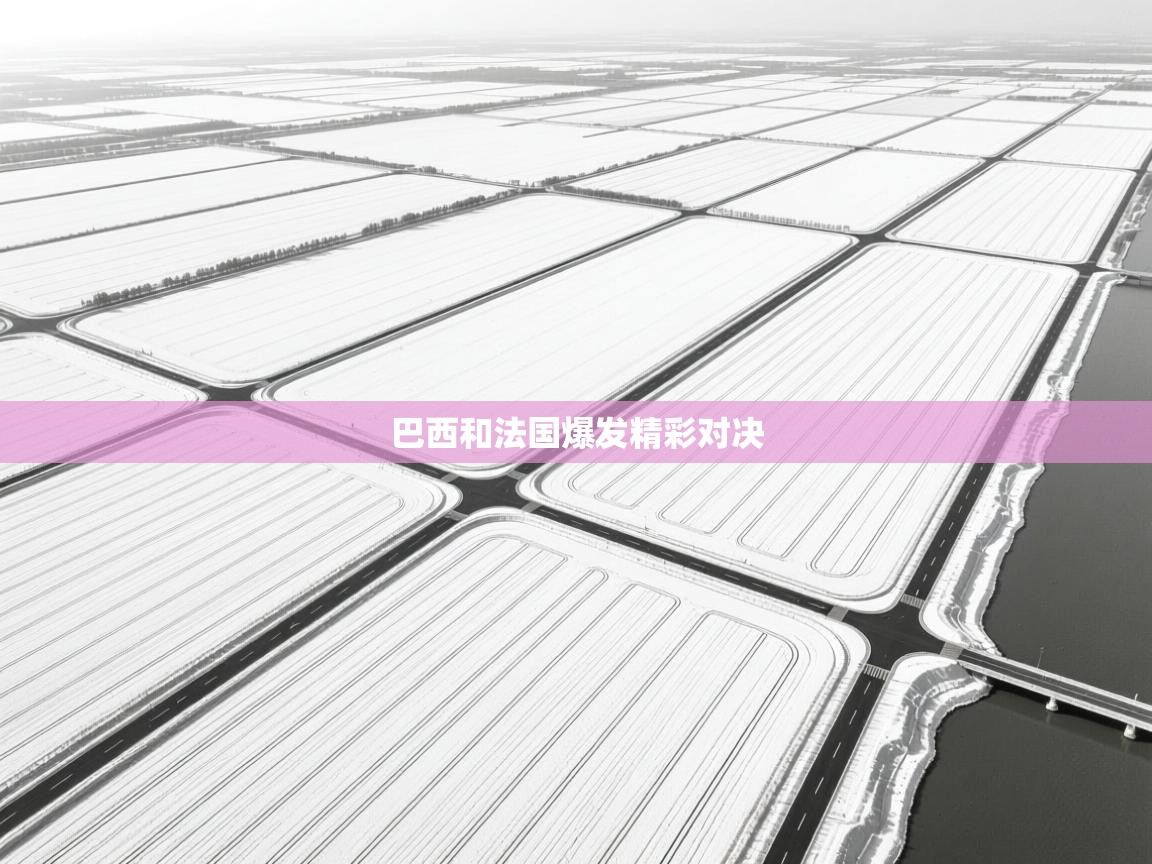 巴西和法国爆发精彩对决