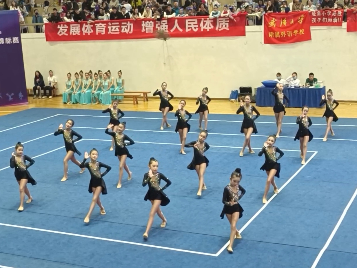 体操项目中团队合作取得佳绩